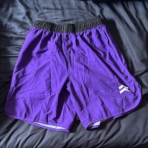 TWL Men's Purple Athletic Shorts